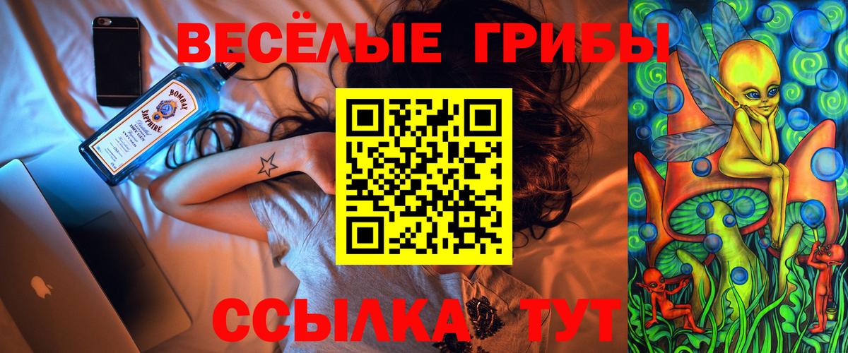 Галлюциногенные грибы прущие грибы  Псилоцибиновые грибы Psilocybe  Вход с VPN  Кинешма 